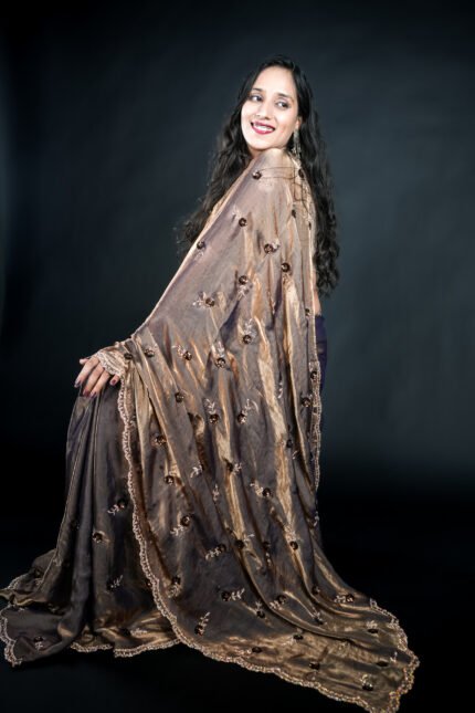 Bronze Organza Saree, Saree, Organza Saree